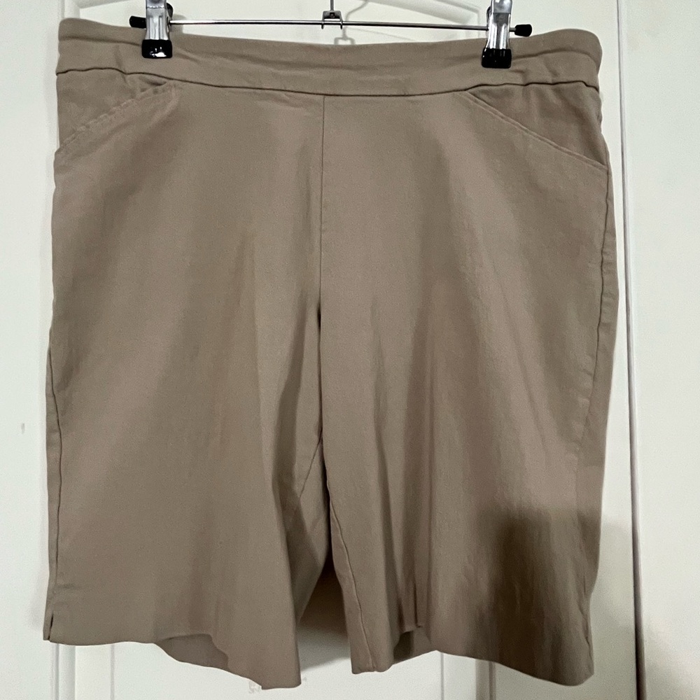 Time & Tru shorts